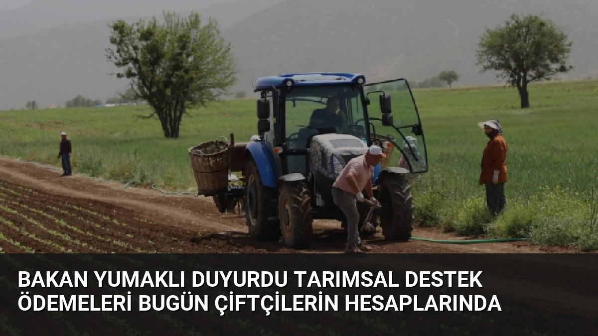 Bakan Yumaklı Duyurdu Tarımsal Destek Ödemeleri Bugün Çiftçilerin Hesaplarında