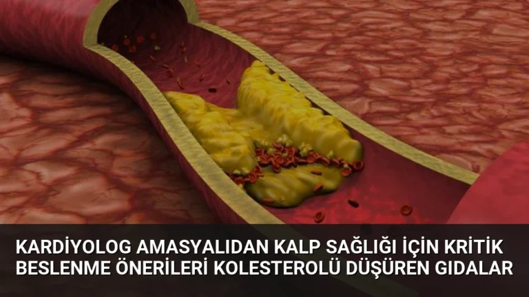 Kardiyolog Amasyalıdan Kalp Sağlığı İçin Kritik Beslenme Önerileri Kolesterolü Düşüren Gıdalar