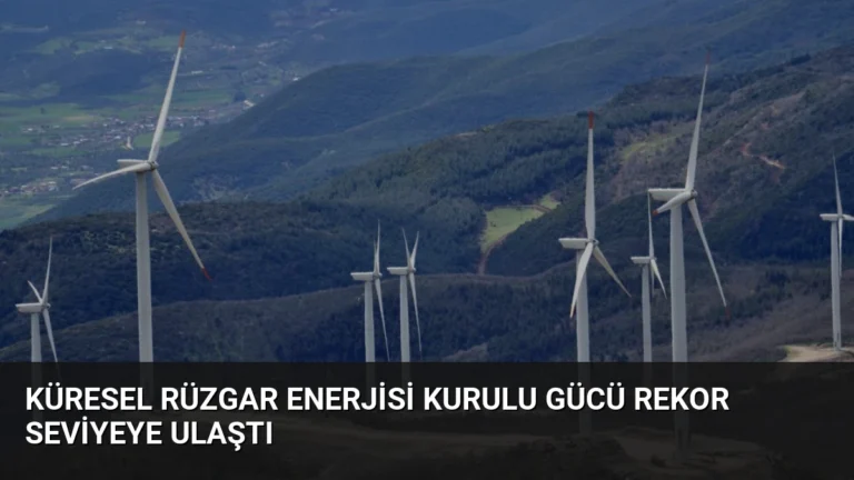 Küresel Rüzgar Enerjisi Kurulu Gücü Rekor Seviyeye Ulaştı