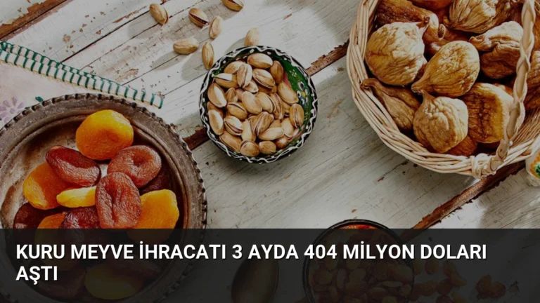 Kuru Meyve İhracatı 3 Ayda 404 Milyon Doları Aştı