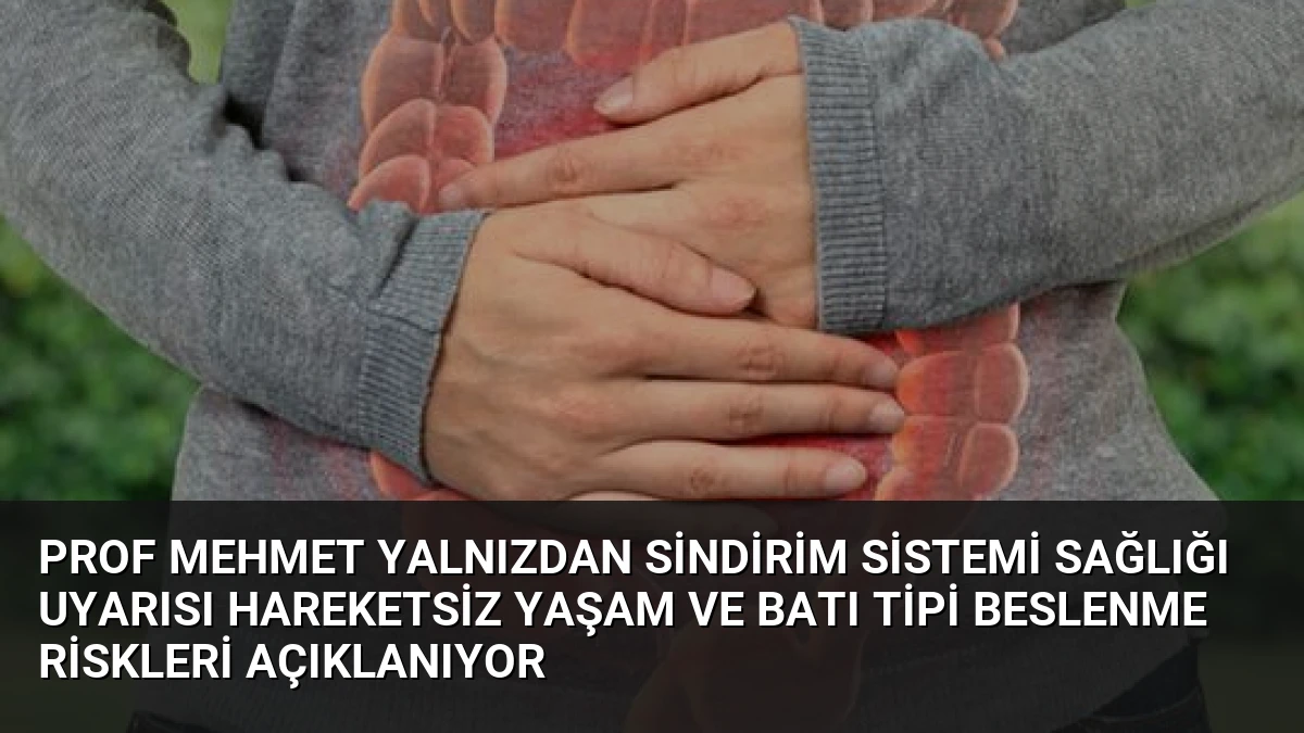 Prof Mehmet Yalnızdan Sindirim Sistemi Sağlığı Uyarısı Hareketsiz Yaşam ve Batı Tipi Beslenme Riskleri Açıklanıyor