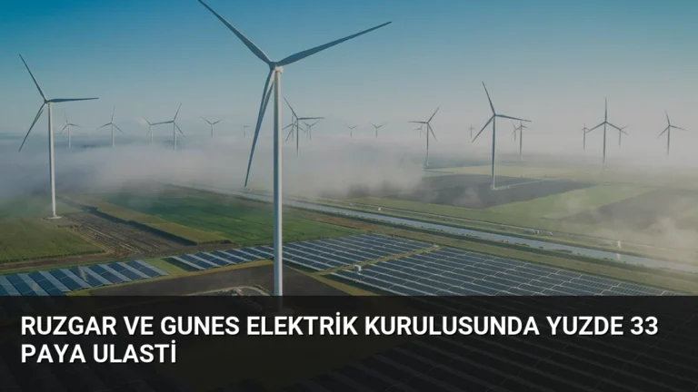 Ruzgar ve Gunes Elektrik Kurulusunda Yuzde 33 Paya Ulasti