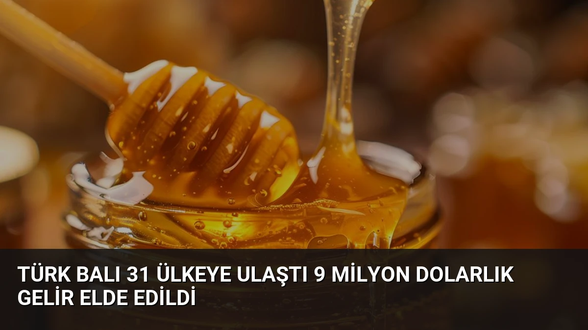 Türk Balı 31 Ülkeye Ulaştı 9 Milyon Dolarlık Gelir Elde Edildi