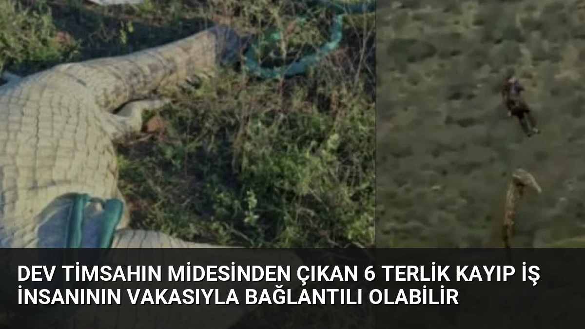 Dev Timsahın Midesinden Çıkan 6 Terlik Kayıp İş İnsanının Vakasıyla Bağlantılı Olabilir