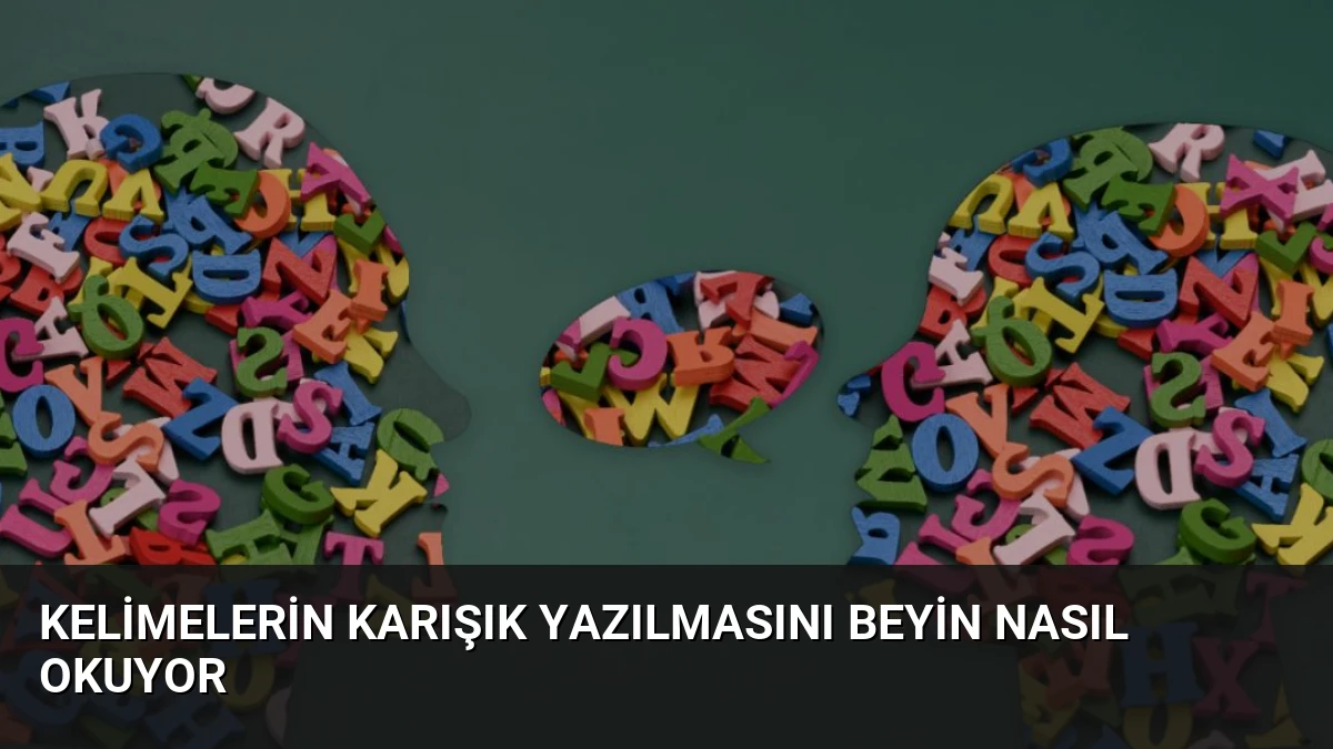 Kelimelerin Karışık Yazılmasını Beyin Nasıl Okuyor