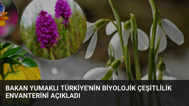Bakan Yumaklı Türkiye’nin Biyolojik Çeşitlilik Envanterini Açıkladı