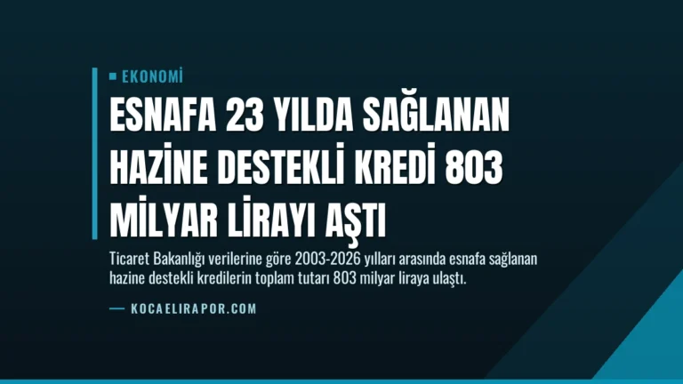 Esnafa 23 Yılda Sağlanan Hazine Destekli Kredi 803 Milyar Lirayı Aştı