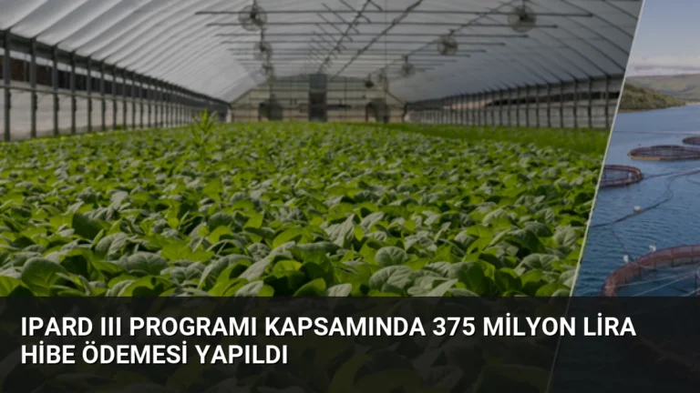 IPARD III Programı Kapsamında 375 Milyon Lira Hibe Ödemesi Yapıldı