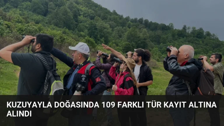Kuzuyayla Doğasında 109 Farklı Tür Kayıt Altına Alındı
