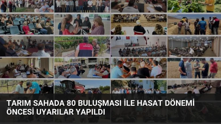 Tarım Sahada 80 Buluşması ile Hasat Dönemi Öncesi Uyarılar Yapıldı