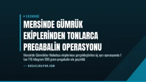 Mersinde Gümrük Ekiplerinden Tonlarca Pregabalin Operasyonu
