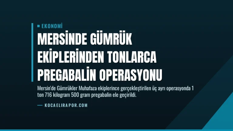 Mersinde Gümrük Ekiplerinden Tonlarca Pregabalin Operasyonu