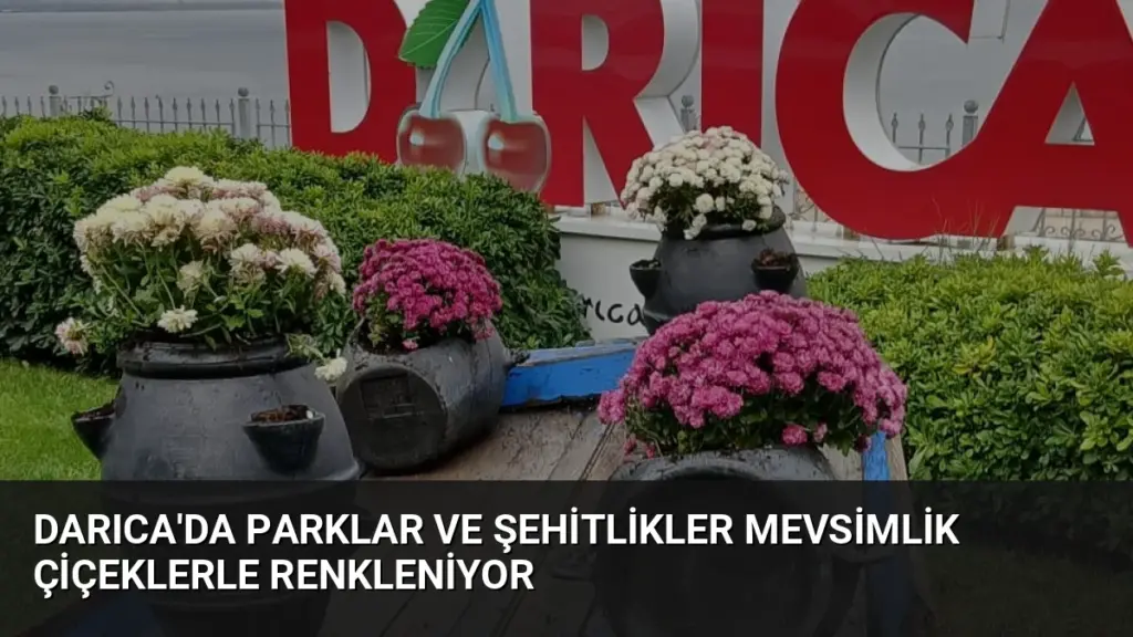 Darıca'da parklar ve şehitlikler mevsimlik çiçeklerle renkleniyor