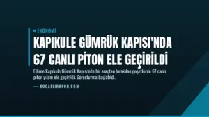 Kapıkule Gümrük Kapısı’nda 67 Canlı Piton Ele Geçirildi